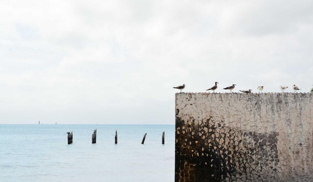Contract Testing for Microservices: The 2026 Definitive Guide