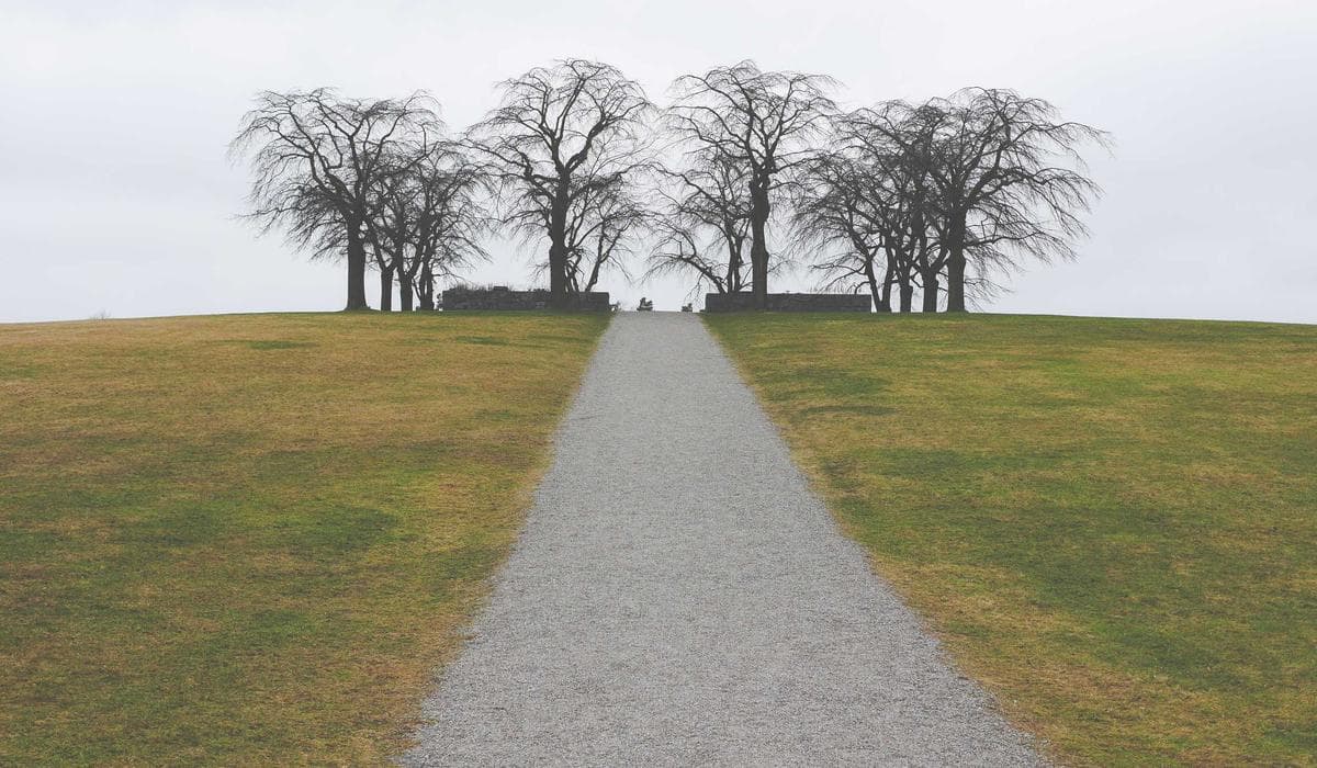 AI-Powered Visual Regression in CI