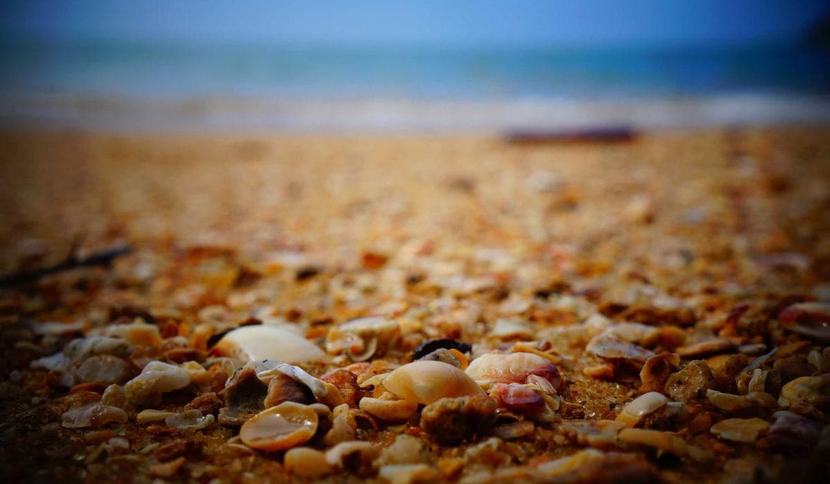 No-BS Playbook: Fix Flaky Tests Without Slowing Releases