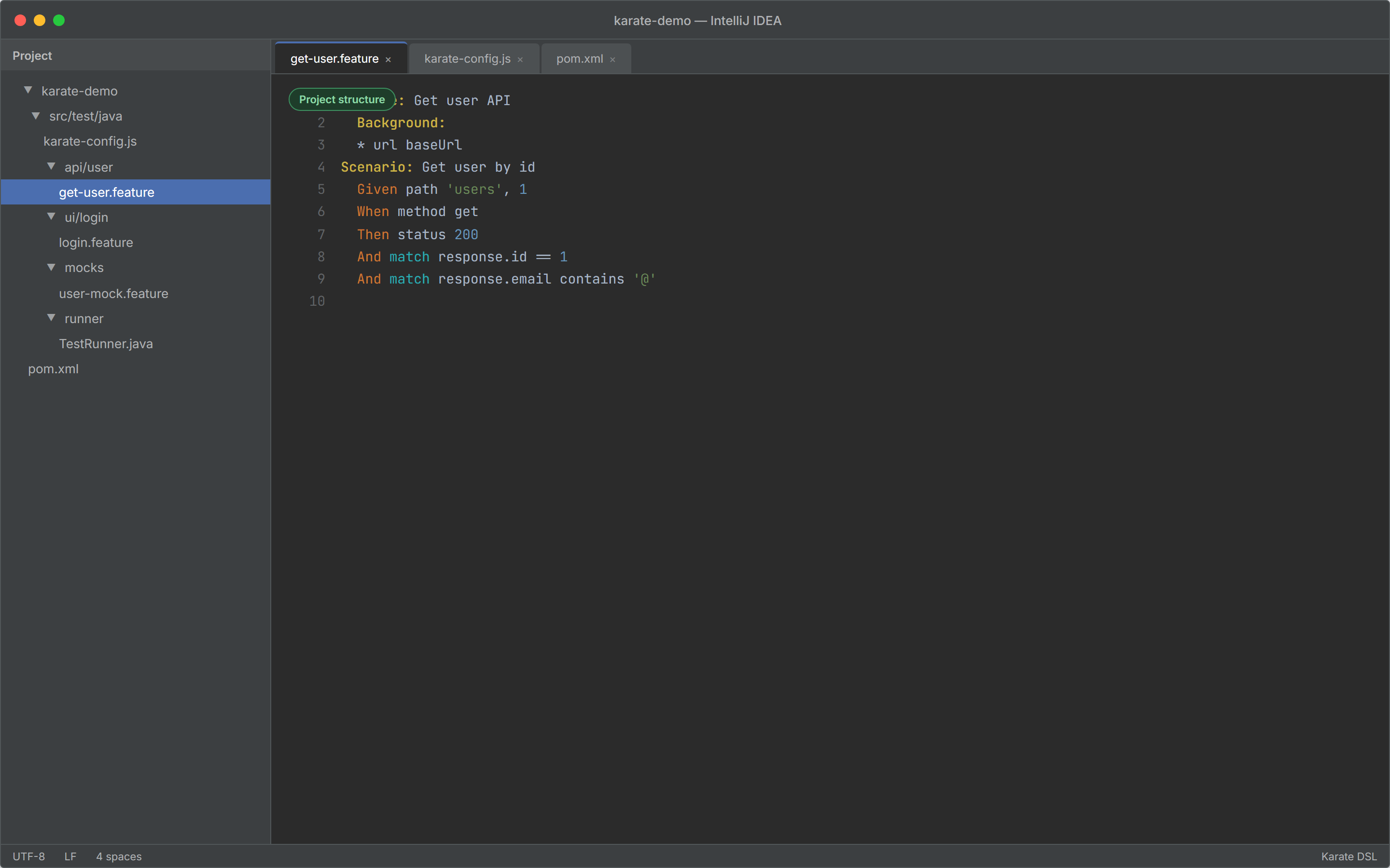 IntelliJ IDEA Project view with Karate api, ui, mocks, runner folders and get-user.feature