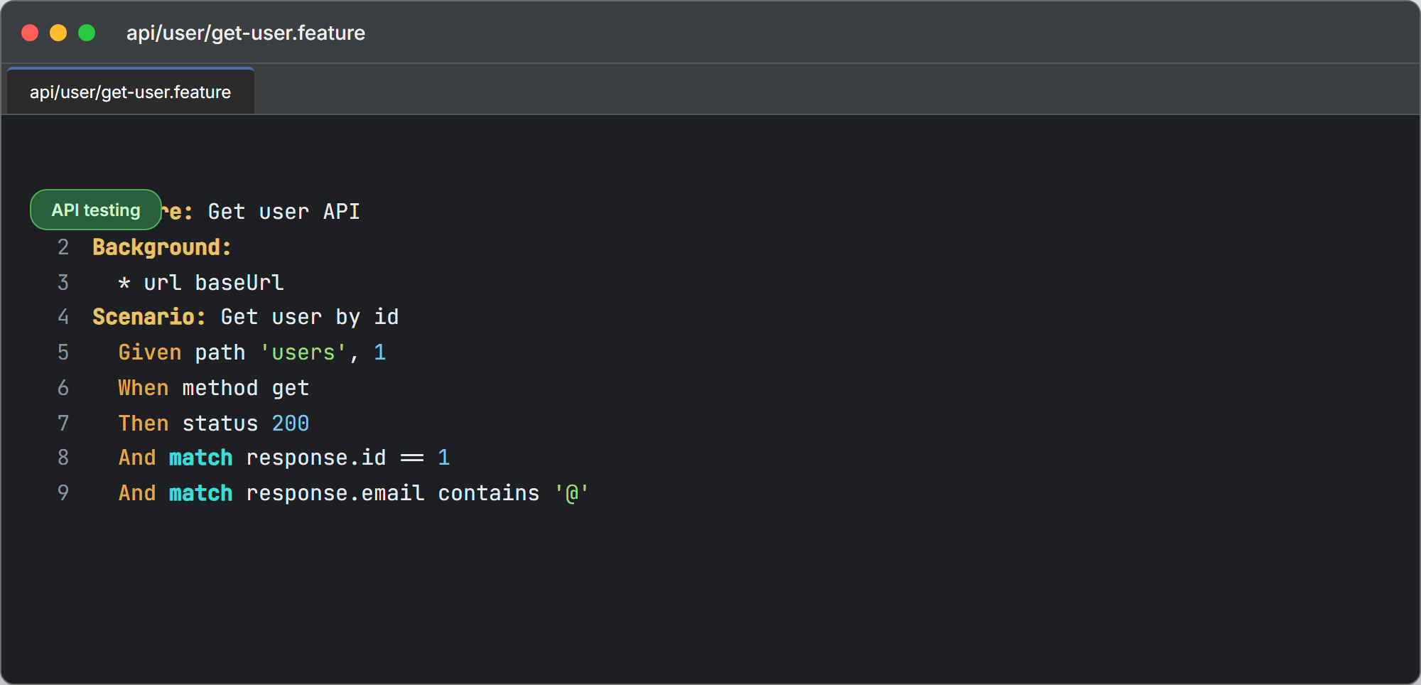 IntelliJ IDEA Karate feature file get-user.feature with Given When Then and match assertions